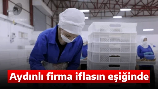 Aydınlı firma iflasın eşiğinde