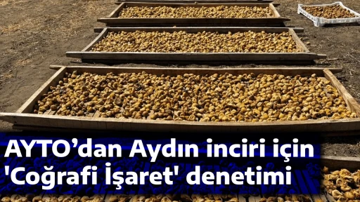 AYTO&rsquo;dan Aydın inciri i&ccedil;in 'Coğrafi İşaret' denetimi