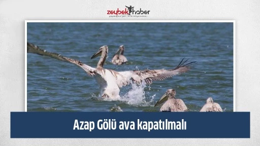 Azap G&ouml;l&uuml; ava kapatılmalı