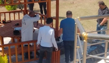 Bah&ccedil;edeki kamelyada &ouml;l&uuml; olarak bulundu