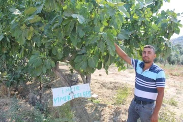 Bah&ccedil;esine &ouml;yle bir not astı ki, g&ouml;ren şaşırdı kaldı