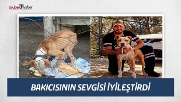 Bakıcının sevgisi iyileştirdi