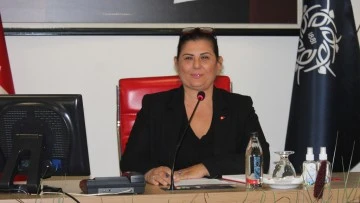 Başkan &Ccedil;er&ccedil;ioğlu: &ldquo;Ayulaş&rsquo;ın hi&ccedil;bir farklı faaliyet kolu yoktur&rdquo;