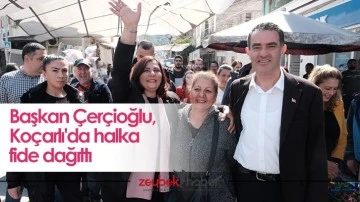 Başkan &Ccedil;er&ccedil;ioğlu, Ko&ccedil;arlı'da halka fide dağıttı