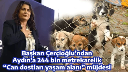 Başkan &Ccedil;er&ccedil;ioğlu&rsquo;ndan Aydın&rsquo;a 244 bin metrekarelik &ldquo;Can dostları yaşam alanı&rdquo; m&uuml;jdesi