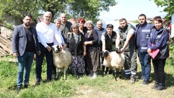 Başkan &Ccedil;er&ccedil;ioğlu'ndan koyunları telef olan &uuml;retici kadına destek