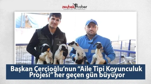 Başkan &Ccedil;er&ccedil;ioğlu&rsquo;nun &ldquo;Aile Tipi Koyunculuk Projesi&rdquo; her ge&ccedil;en g&uuml;n b&uuml;y&uuml;yor