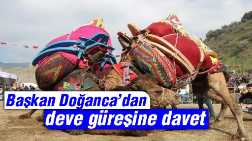 Başkan Doğanca&rsquo;dan deve g&uuml;reşine davet