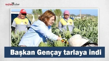 Başkan Gen&ccedil;ay enginar hasadına katıldı