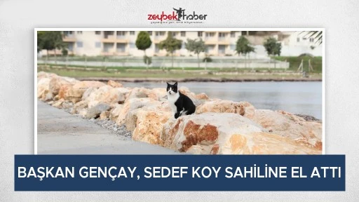 BAŞKAN GEN&Ccedil;AY, SEDEF KOY SAHİLİNE EL ATTI