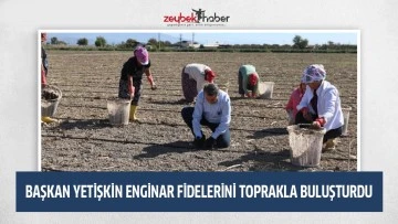 BAŞKAN YETİŞKİN ENGİNAR FİDELERİNİ TOPRAKLA BULUŞTURDU