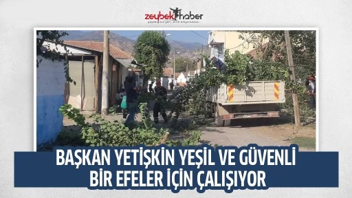 BAŞKAN YETİŞKİN YEŞİL VE G&Uuml;VENLİ BİR EFELER İ&Ccedil;İN &Ccedil;ALIŞIYOR
