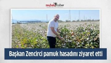 Başkan Zencirci pamuk hasadını ziyaret etti