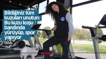 Bildiğiniz t&uuml;m kuzuları unutun: Bu kuzu koşu bandında y&uuml;r&uuml;y&uuml;p, spor yapıyor