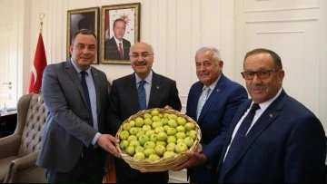 Borsa, sezonun ilk incirini İzmir Valisi K&ouml;şger&rsquo;e takdim etti