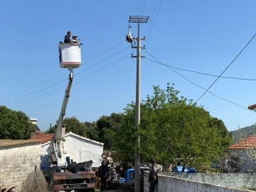 Boynuna ip dolanan leylek, boğulmaktan son anda kurtarıldı