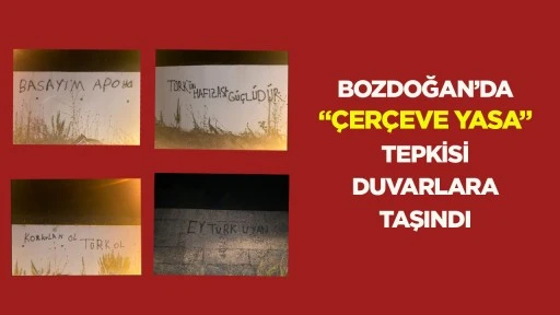 Bozdoğan&rsquo;da &ldquo;&ccedil;er&ccedil;eve yasa&rdquo; tepkisi duvarlara taşındı