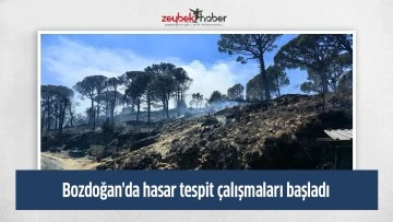 Bozdoğan'da hasar tespit &ccedil;alışmaları başladı