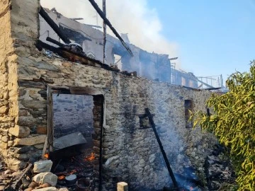 Bozdoğan'da iki ev alevlere teslim oldu
