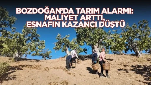 Bozdoğan&rsquo;da tarım alarmı: Maliyet arttı, esnafın kazancı d&uuml;şt&uuml;