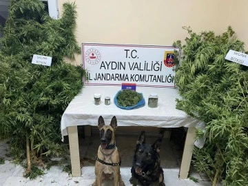 Bozdoğan&rsquo;da uyuşturucu operasyonu