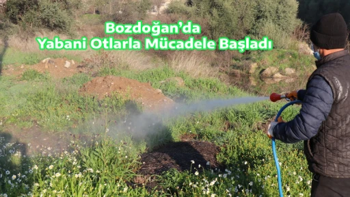 Bozdoğan&rsquo;da Yabani Otlarla M&uuml;cadele Başladı