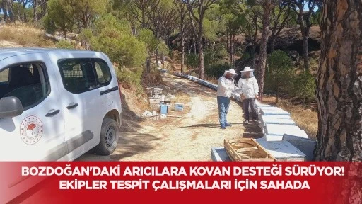 Bozdoğan'daki arıcılara kovan desteği s&uuml;r&uuml;yor! Ekipler tespit &ccedil;alışmaları i&ccedil;in sahada
