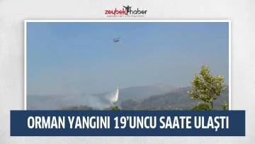 Bozdoğan orman yangını 19&rsquo;uncu saatinde