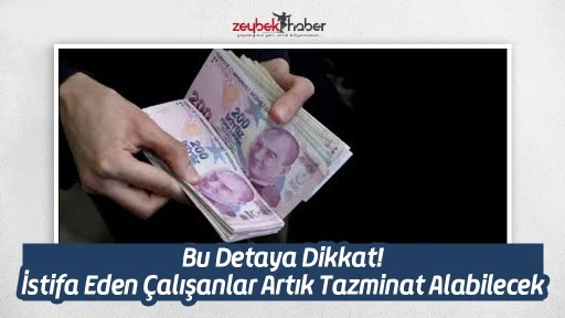Bu Detaya Dikkat: İstifa Eden &Ccedil;alışanlar Artık Tazminat Alabilecek