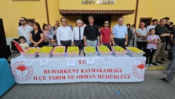 Buharkent festivalinde kurumlar arası &ouml;rnek işbirliği