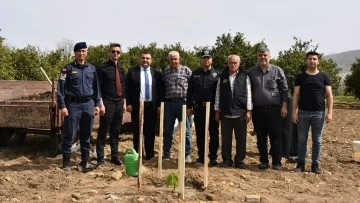 Buharkent tarımı atağa kalktı