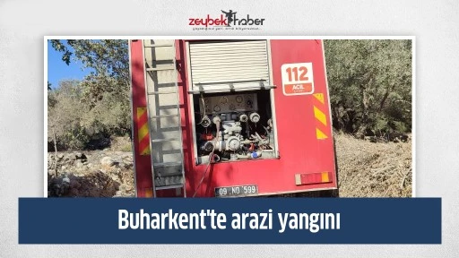 Buharkent'te arazi yangını