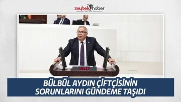  B&Uuml;LB&Uuml;L AYDIN &Ccedil;İFT&Ccedil;İSİNİN SORUNLARINI G&Uuml;NDEME TAŞIDI