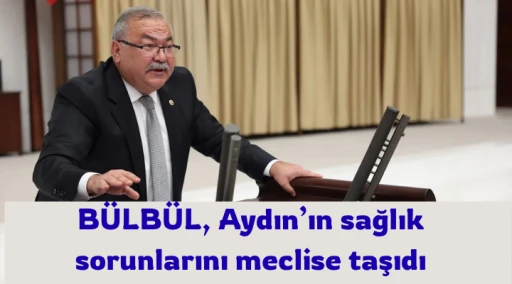 Bülbül, Aydın’daki sağlık sorunları meclise taşındı