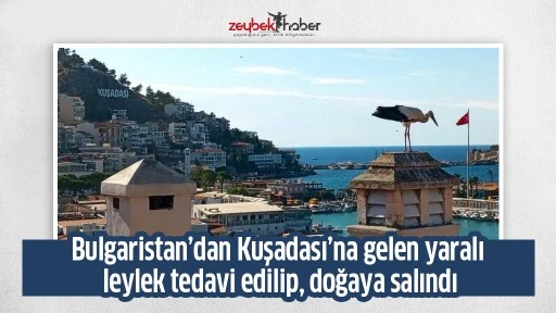 Bulgaristan&rsquo;dan Kuşadası&rsquo;na gelen yaralı leylek tedavi edilip, doğaya salındı