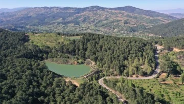 Burası Karadeniz değil, Aydın