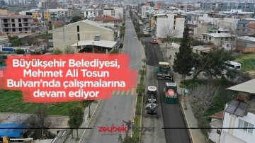 B&uuml;y&uuml;kşehir Belediyesi, Mehmet Ali Tosun Bulvarı&rsquo;nda &ccedil;alışmalarına devam ediyor