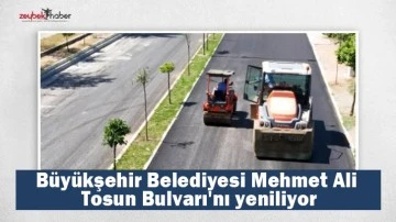 B&uuml;y&uuml;kşehir Belediyesi Mehmet Ali Tosun Bulvarı'nı yeniliyor