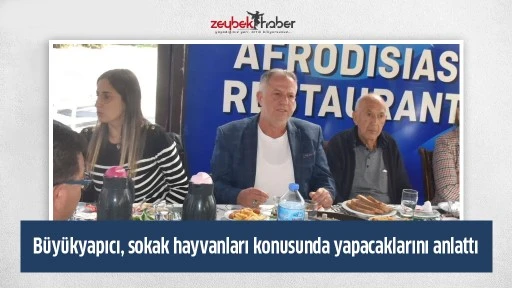 B&uuml;y&uuml;kyapıcı, sokak hayvanları konusunda yapacaklarını anlattı