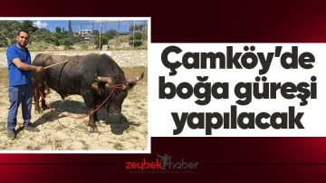 &Ccedil;amk&ouml;y&rsquo;de boğa g&uuml;reşi yapılacak
