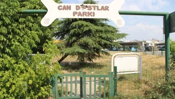 Can dostlar k&ouml;pek parkı sahipsiz kaldı