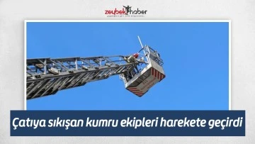&Ccedil;atıya sıkışan kumru ekipleri harekete ge&ccedil;irdi