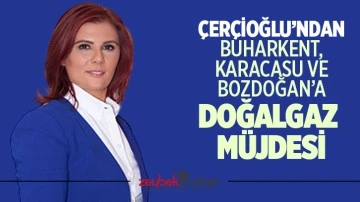 &Ccedil;er&ccedil;ioğlu&rsquo;ndan Buharkent, Karacasu ve Bozdoğan&rsquo;a doğalgaz m&uuml;jdesi
