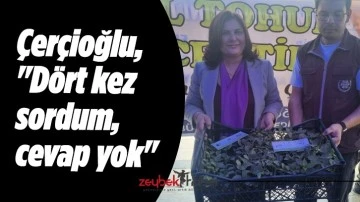 &Ccedil;er&ccedil;ioğlu, "D&ouml;rt kez sordum, cevap yok"