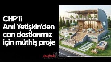 CHP&rsquo;li Anıl Yetişkin&rsquo;den can dostlarımız i&ccedil;in m&uuml;thiş proje&nbsp;