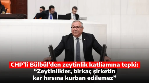 CHP&rsquo;li B&uuml;lb&uuml;l&rsquo;den zeytinlik katliamına tepki: &ldquo;Zeytinlikler, birka&ccedil; şirketin kar hırsına kurban edilemez&rdquo;