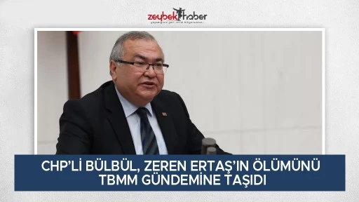 CHP&rsquo;Lİ B&Uuml;LB&Uuml;L, ZEREN ERTAŞ&rsquo;IN &Ouml;L&Uuml;M&Uuml;N&Uuml; TBMM G&Uuml;NDEMİNE TAŞIDI