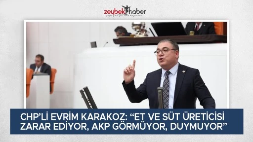 CHP&rsquo;Lİ EVRİM KARAKOZ: &ldquo;AKP İKTDİARI ET VE S&Uuml;T &Uuml;RETİCİSİNİ BİTME NOKTASINA GETİRDİ&rdquo;
