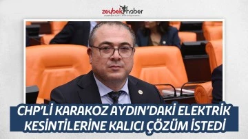 CHP&rsquo;Lİ EVRİM KARAKOZ AYDIN&rsquo;DAKİ ELEKTRİK KESİNTİLERİNE KALICI &Ccedil;&Ouml;Z&Uuml;M İSTEDİ