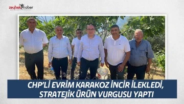 CHP&rsquo;Lİ EVRİM KARAKOZ İNCİR İLEKLEDİ, STRATEJİK &Uuml;R&Uuml;N VURGUSU YAPTI